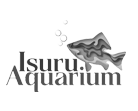 Digit Art- isuru Aquraium